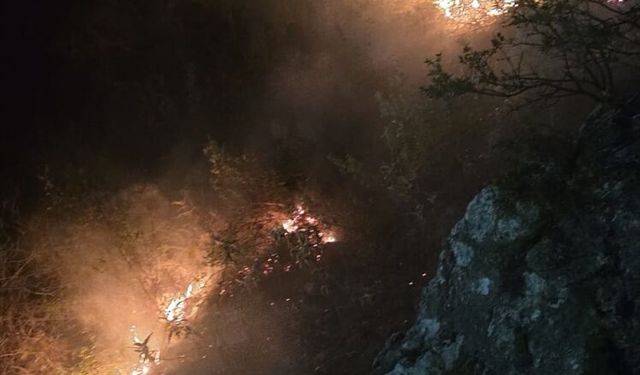 Alanya'da ormanlık alanda çıkan yangın söndürüldü