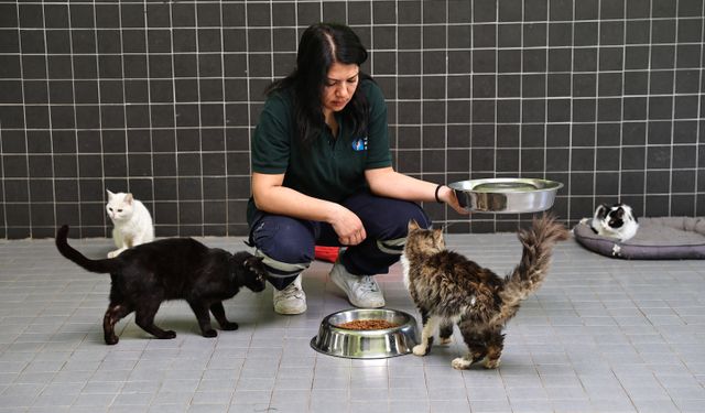 Antalya Büyükşehir Belediyesi 3 bin 324 kadın çalışanıyla kente değer katıyor