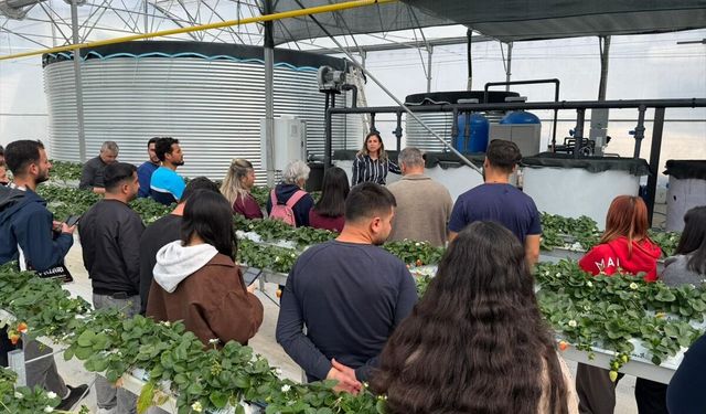 Antalya'da üniversite öğrencileri çilek üretim tesisinde 'topraksız tarım'la tanıştı