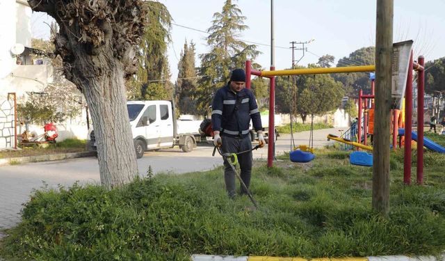 Aydın Büyükşehir'den Koçarlı'ya 'yeşil' dokunuş