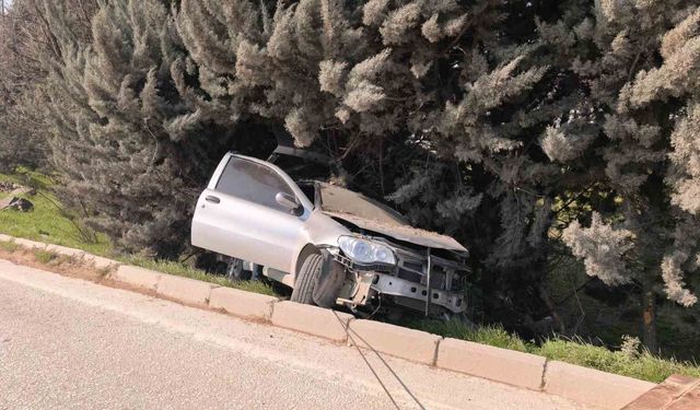 Bursa'da kontrolden çıkan otomobil ağaçlık alana uçtu, 1 yaralandı