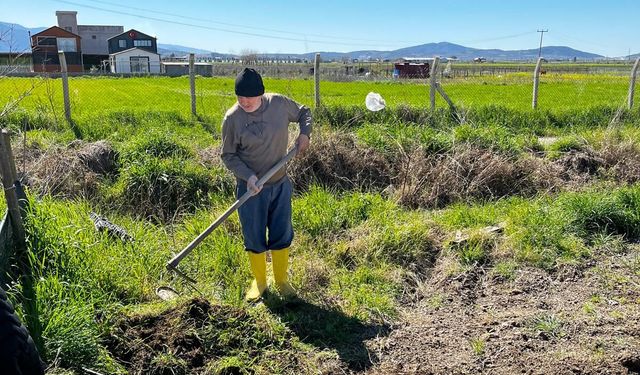 Osmaniye'de Baharın İlk Günleri Tarlalarda Karşılandı