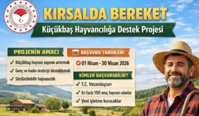 Osmaniye’de Küçükbaş Desteği Başlıyor