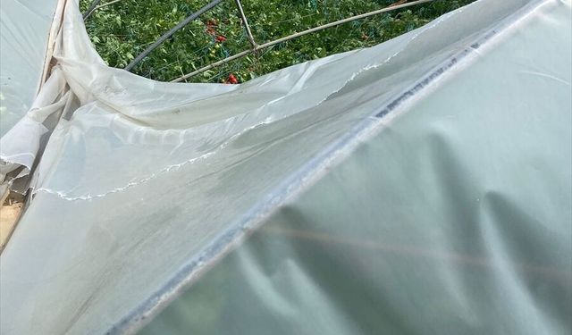 Mersin'de dolu ve fırtına tarım alanlarına zarar verdi