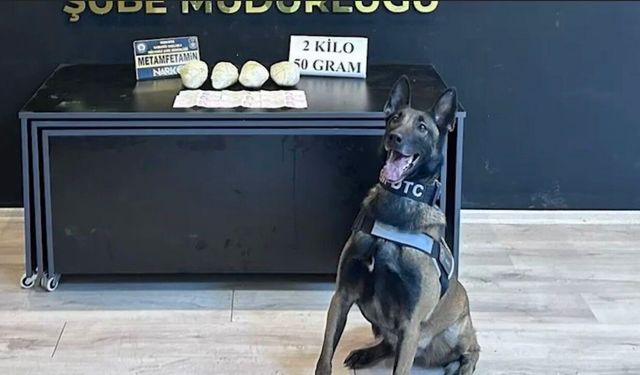 Ocak ayının en başarılı narkotik köpeği 'Jardi' oldu