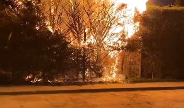 Sebepsiz yere ateşe verilen ağaç itfaiyeyi harekete geçirdi