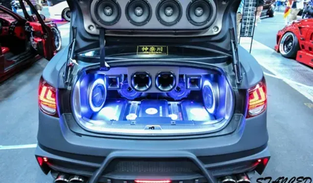 SES YALITIM İŞLERİ YAPTIRILACAKTIR