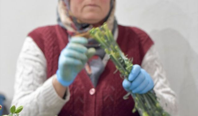 Türkiye'den Dünya Kadınlar Günü için 35 ülkeye 80 milyon dal çiçek