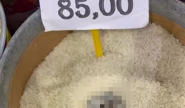 Pirinçte Kedi Dışkısı Şoku