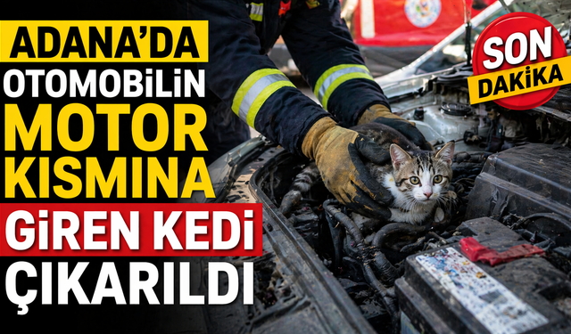 Adana'da otomobilin motor kısmına giren kedi çıkarıldı