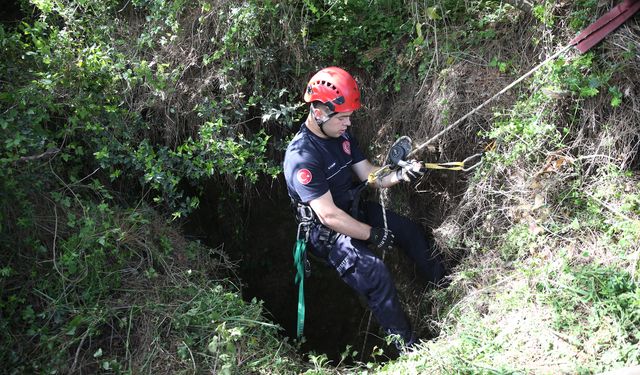 Alanya'da mağaraya düşen düve için kurtarma çalışması yapıldı