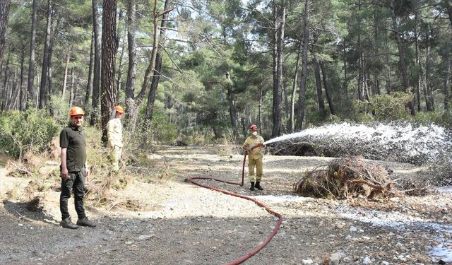 Antalya'da orman yangınlarına karşı tatbikat yapıldı
