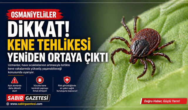 Osmaniyeliler Dikkat! Kene Tehlikesi Yeniden Ortaya Çıktı