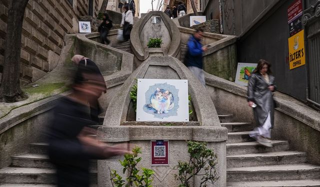 Çöpe atılan plastik atıklar portre ve kostüme dönüşüyor