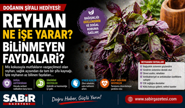 Doğanın şifalı hediyesi: Reyhan