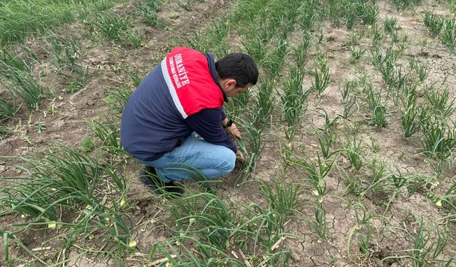 Osmaniye İl Tarım Müdürlüğü Sahada
