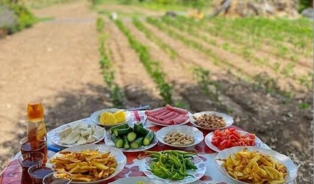 Mutluluğun tarifi belli: Köyde Pazar kahvaltısı
