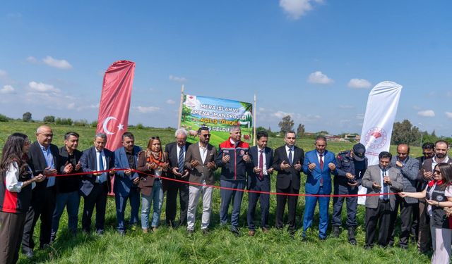 Kozan'da ıslah edilen mera kullanıma açıldı