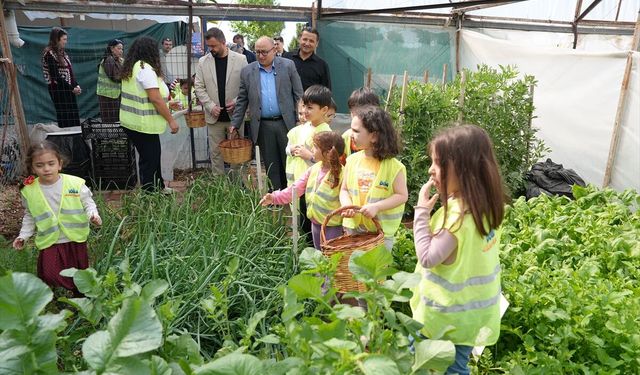 Mersin'de öğrenciler diktikleri sebzelerin hasadını yaptı