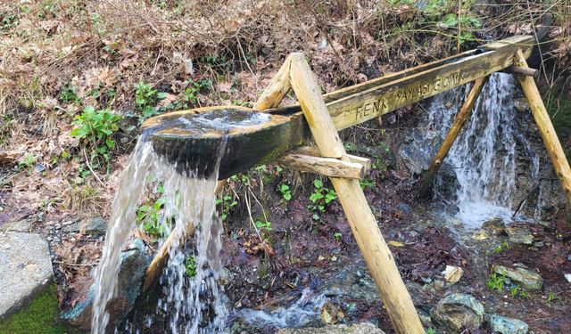 Osmaniye Yaylalarında Bahar Müjdesi