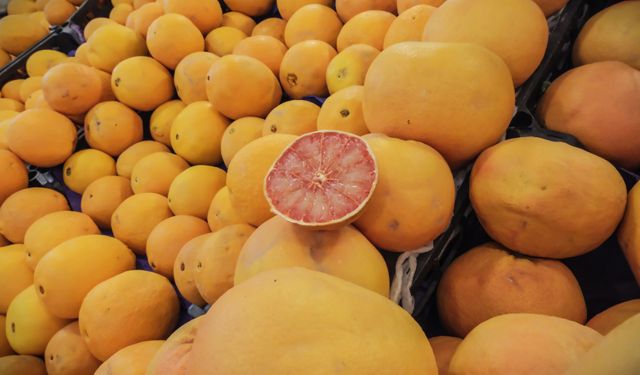 Turunçgil ihracatı yılın ilk çeyreğinde 697,7 milyon dolara ulaştı