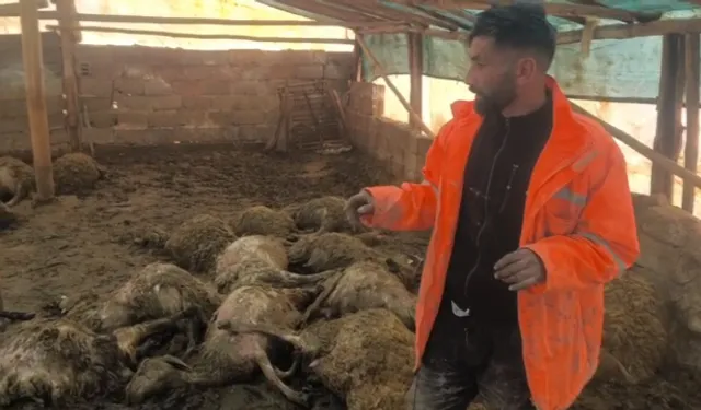 Üretici Bir Gecede Her Şeyini Kaybetti