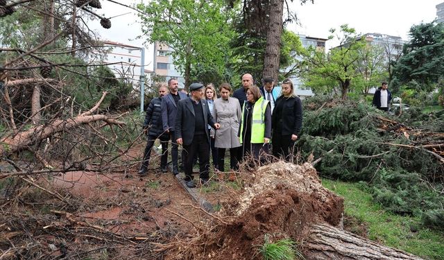 GÜNCELLEME - Gaziantep'te fırtınanın verdiği hasar gün aydınlanınca ortaya çıktı