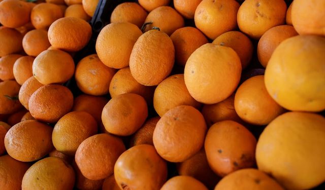 Mersin, yılın ilk çeyreğinde turunçgil ihracatında zirvede yer aldı