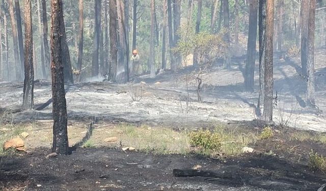 Mersin'de çıkan örtü yangını kontrol altında