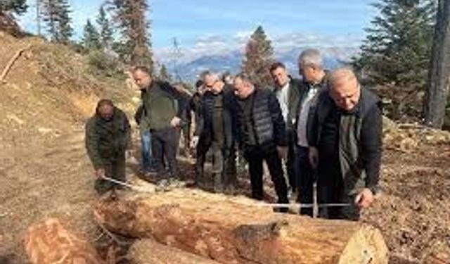 Mesaha İşleri Danışmanlık Hizmet Alımı İhale İlanı