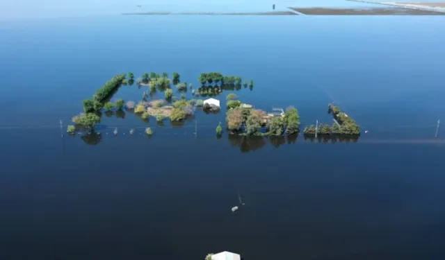 Tulare Gölü’nde Doğa Yeniden Canlandı