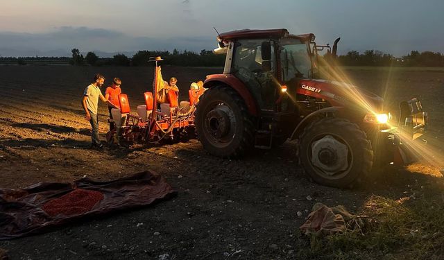 Osmaniye’de Yer Fıstığı Ekim Sezonu Hızlandı