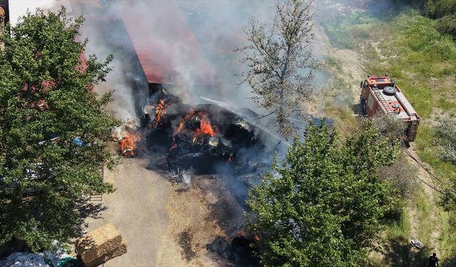 Adana'da büyükbaş çiftliğinde çıkan yangın söndürüldü
