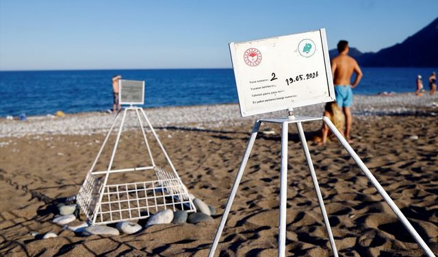 Çıralı'da caretta carettaların yuvalama sezonu gecikmeli başladı