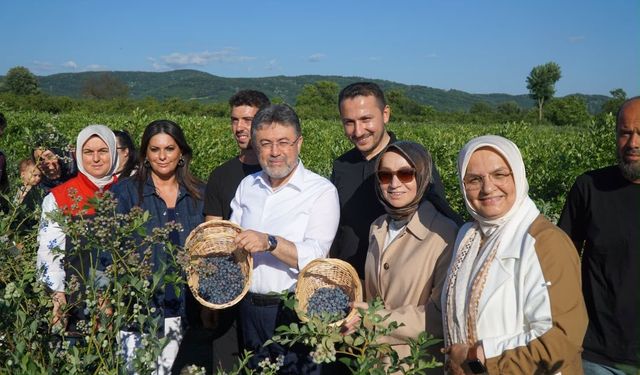 Düzce’de üretim ziyareti Yaban mersini hasadı yapıldı