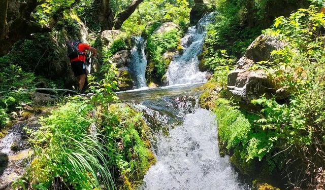 Düziçi'nden Yeşildere Şelalelerine Doğa Yürüyüşü