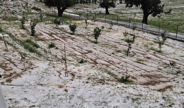 Erdemli'de yağmur ve dolu etkili oldu