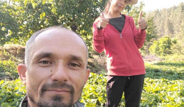 Gaziantep İslahiye Hınzırlı’da Çilek Hasadı Başladı