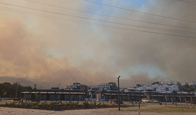 GÜNCELLEME - İzmir'de ziraat alanından ormana sıçrayan yangına müdahale ediliyor