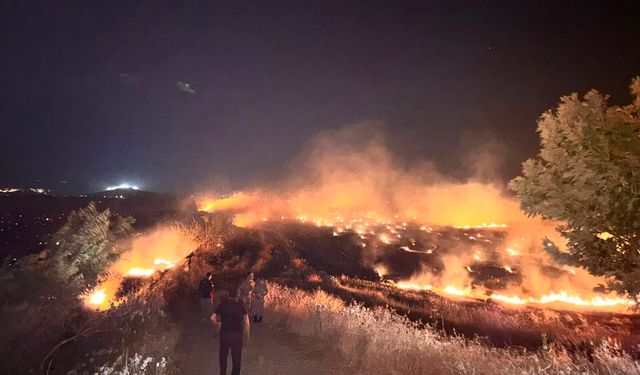 Hatay'da anızda çıkıp zeytin bahçelerine sıçrayan yangın kontrol altına alındı