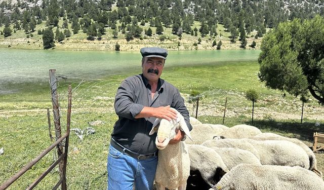 Isparta'da Yörüklerin yayla göçü başladı