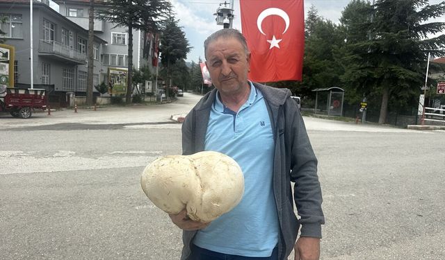 Ispartalı çiftçi bahçesinde 3 kilo 470 gram mantar buldu