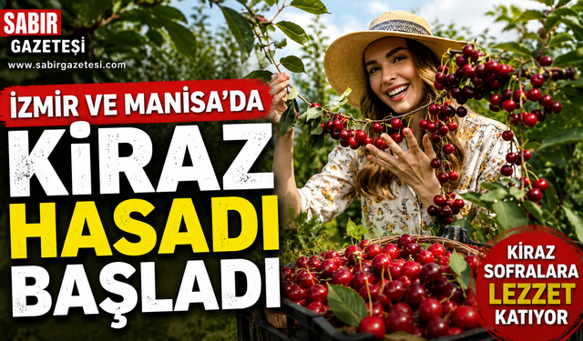 İzmir ve Manisa’da Kiraz Hasadı Başladı