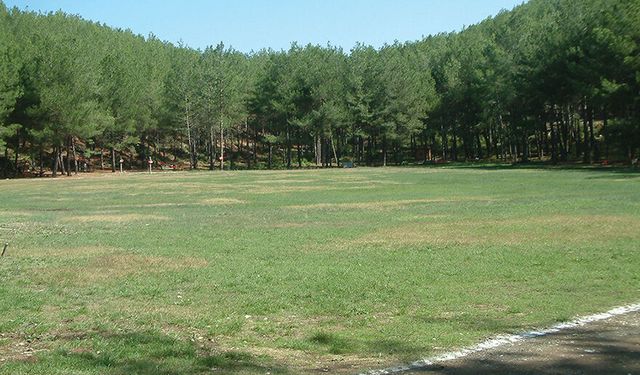 Ormanların Korunması İçin 6 Ayda 16,5 Milyar Liralık Harcama