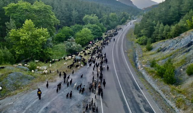 Kozanlı göçerlerin yayla yolculuğu başladı
