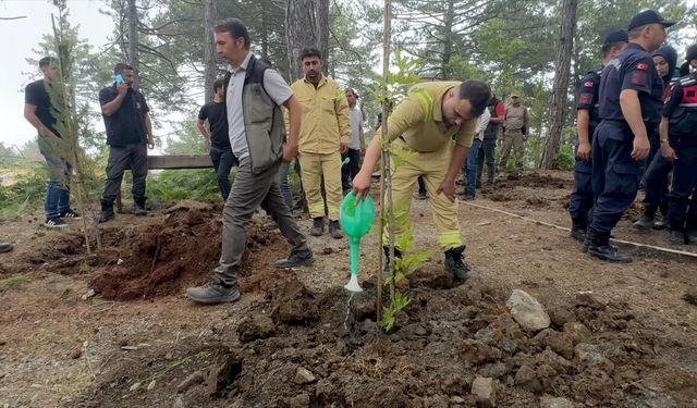 Osmaniye'de orman arazisine kaçak inşa edilen evlerin yıkımı sürüyor