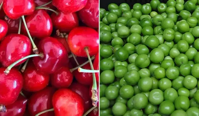 Osmaniye’de Yazın Gözdesi Erik mi Kiraz mı?