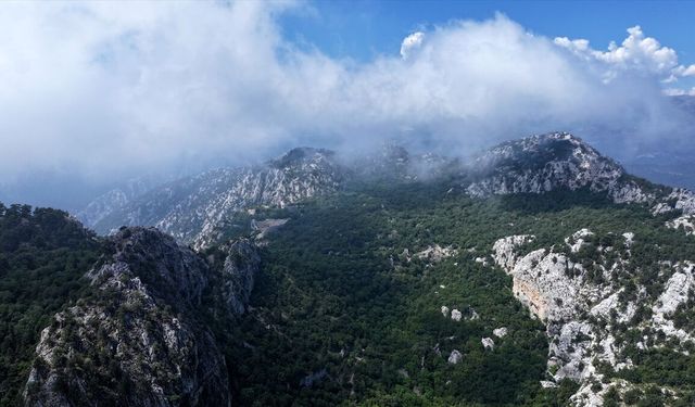 Termessos'ta 'bağımsızlık' ve 'kehanet-fal' yazıtları tespit edildi