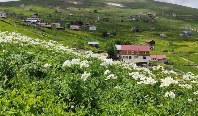 Köşk Yaylası Köprübaşı’nda Anlık Hava Değişimi Yaşandı