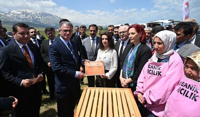 Van'da bal üreticileri için arılı kovan dağıtımına başlandı